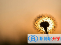 宜賓2022年中考沒有被學(xué)校錄取咋辦