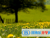 宜賓2022年中考沒有考上怎么辦