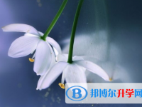 宜賓2022年中考的報(bào)名號是什么