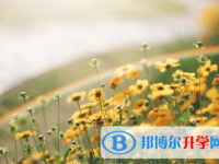 宜賓2022年中考報(bào)名自薦信怎么寫
