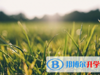 宜賓2022年今年中考時(shí)間是幾號