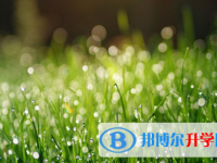 宜賓2022年沒有學(xué)籍可以參加中考嗎