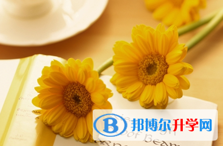 宜賓2022年什么是中考調(diào)劑生