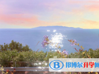 宜賓2022年中考報名是哪個網站