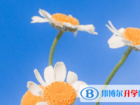 宜賓2022年中考報名網站登錄