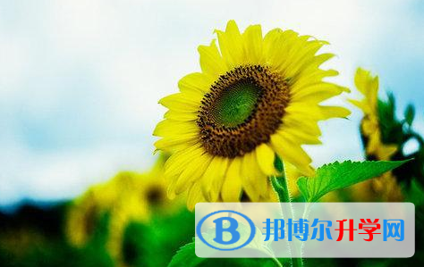 宜賓2022年中考報(bào)名系統(tǒng)網(wǎng)址