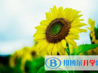 宜賓2022年中考報名系統網址