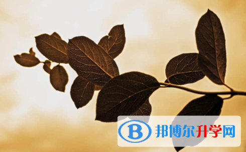 宜賓2022年中考填報(bào)志愿后還可以改嗎