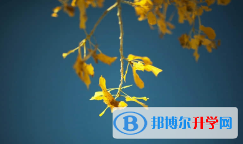 宜賓2022年中考填志愿怎么填
