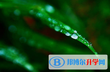宜賓2022年中考怎么填志愿才可以上到好的學校