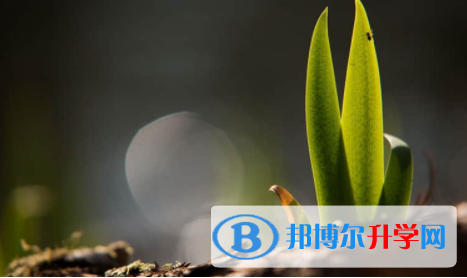宜賓2022年中考志愿填報技巧