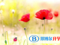 廣安2022年查詢中考成績(jī)的熱線電話