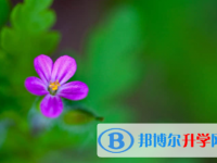 廣安2022年查詢中考成績(jī)上哪個(gè)網(wǎng)站