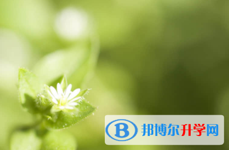 廣安2022年怎樣查詢(xún)中考成績(jī)