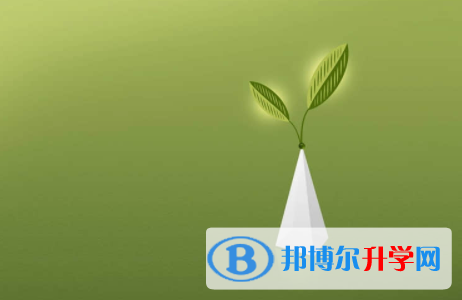 廣安2022年怎樣從網上查詢中考成績