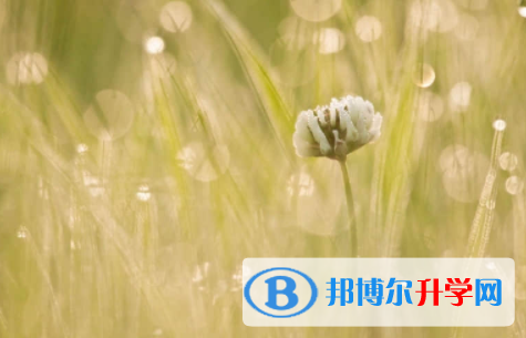 廣安2022年中考成績(jī)查詢