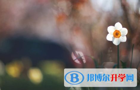 廣安2022年中考成績(jī)差怎么辦