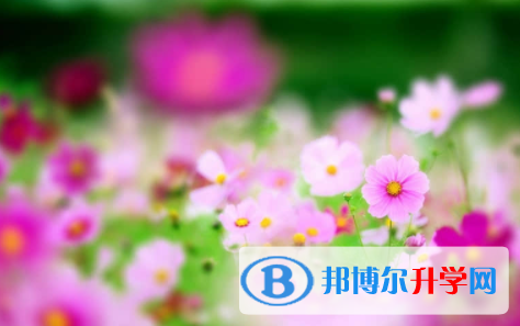 廣安2022年中考成績(jī)公布時(shí)間