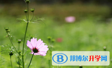 廣安2022年中考成績(jī)?cè)趺床樵? width=