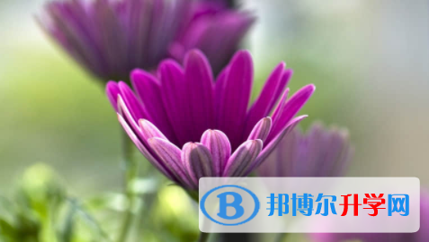 廣安2022年中考成績一般讀什么學(xué)校