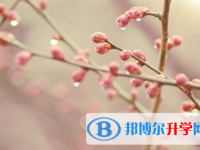 廣安2022年中考看成績是在哪個網站