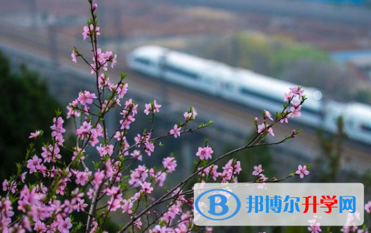 廣安2022年中考在哪查詢成績