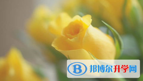 廣安2022年各個學校中考錄取線