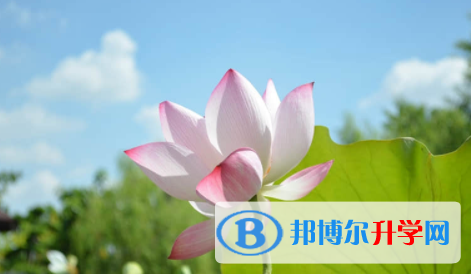 廣安2022年中考報考指南