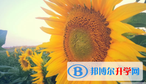 廣安2022年中考報(bào)名號(hào)