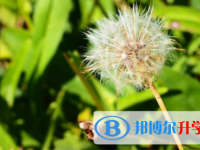 廣安2022年中考報名網站