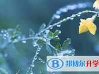 廣安2022年中考報名系統