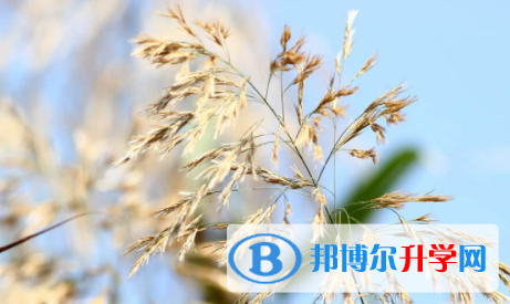 廣安2022年中考查詢網(wǎng)址
