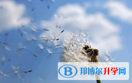 廣安2022年中考查詢系統的密碼記不到了怎么辦