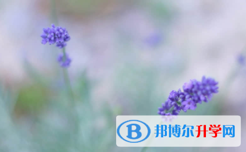 廣安2022年中考服務(wù)平臺