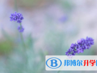 廣安2022年中考服務平臺