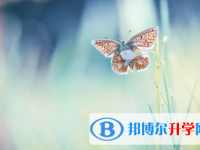 廣安2022年中考服務應用平臺