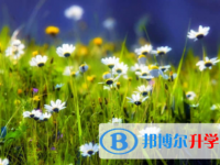 廣安2022年中考規則