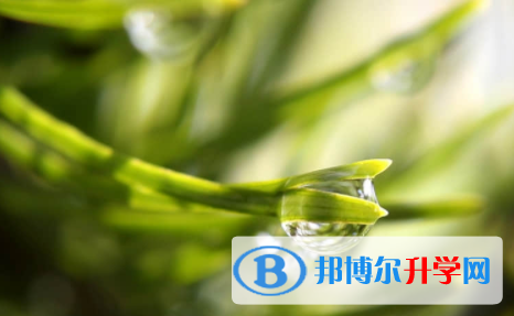 廣安2022年中考考點