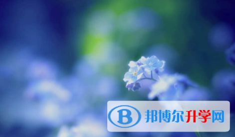 廣安2022年中考考點有哪幾個