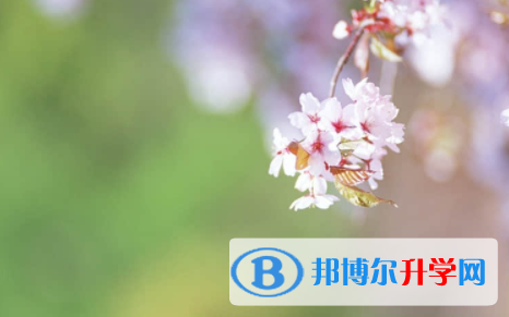 廣安2022年中考錄取報名網