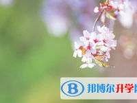 廣安2022年中考錄取報名網