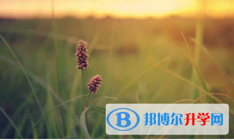 廣安2022年中考錄取時(shí)間