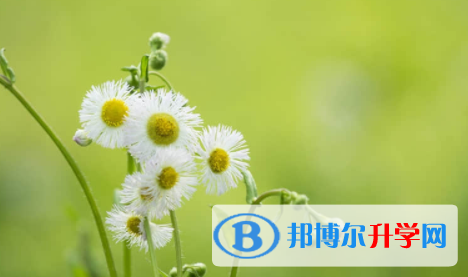 廣安2022年中考沒考上可以復讀嗎