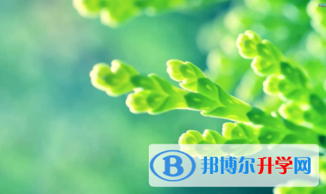 廣安2022年中考人數
