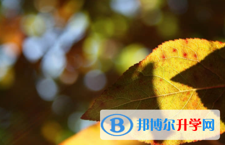 廣安2022年中考上的學校