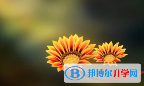 廣安2022年中考升學錄取比例