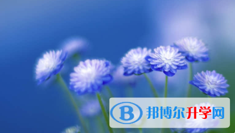 廣安2022年中考生落榜后可不可以選擇復讀