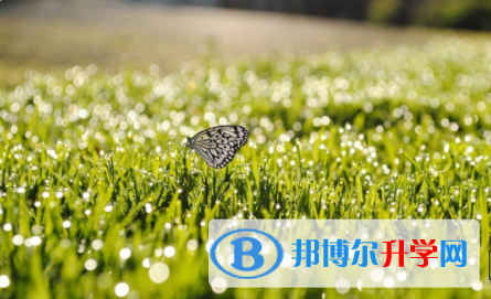 廣安2022年中考填志愿統招和調劑
