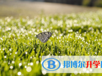 廣安2022年中考填志愿統(tǒng)招和調劑