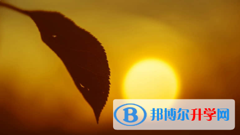 廣安2022年中考統考成績